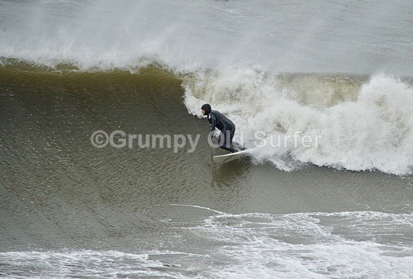 DSC_1828 - Cayton Bay - 11th April 2017