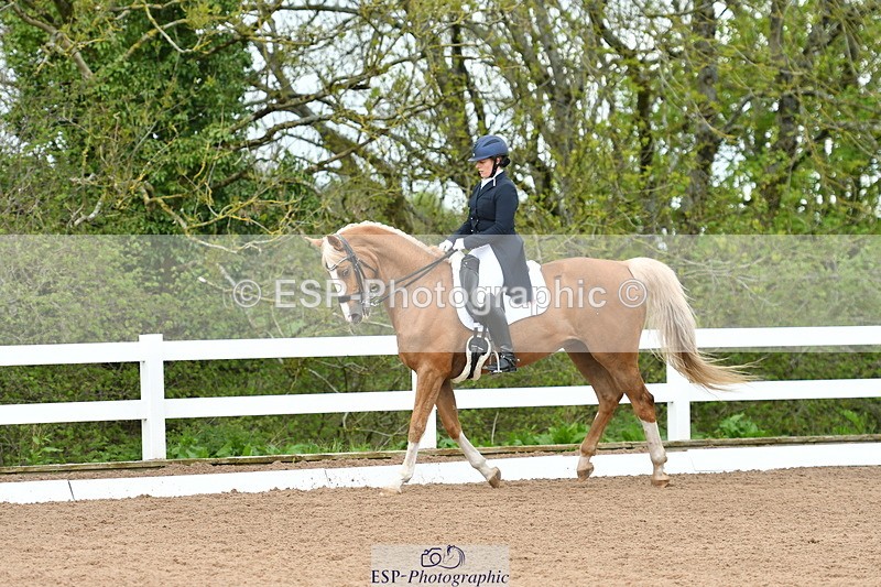 230511A-160359-01286 - BD Cls 18 FEI PSG