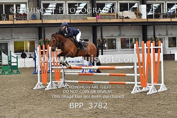 BPP_3782 - FRI CLASS 21 BR NOVICE/90CM