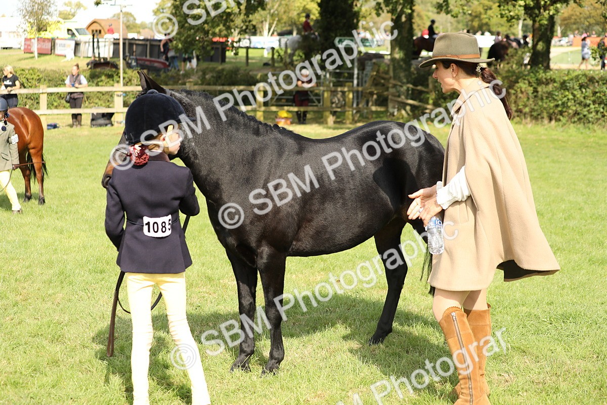 SBM_68577 - S40 - Junior Handler 9-12 Years