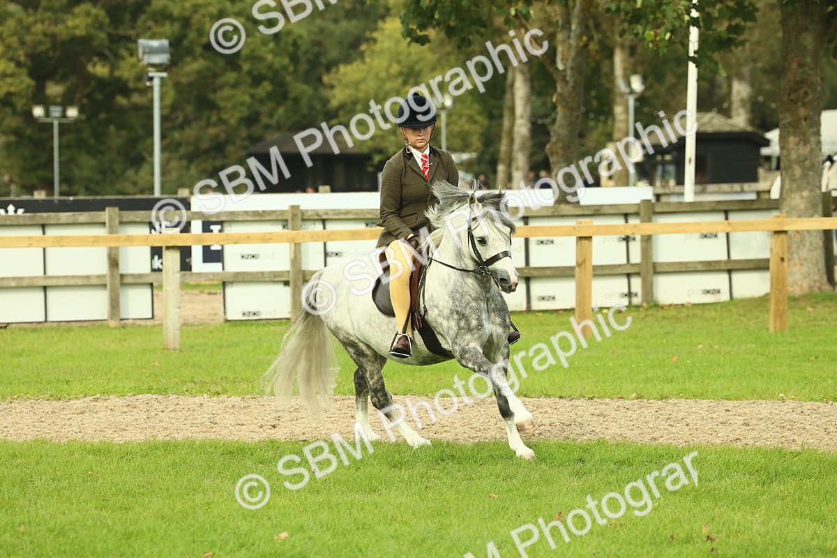 SBM_69862 - S59 - Mountain & Moorland Ridden Small Breeds