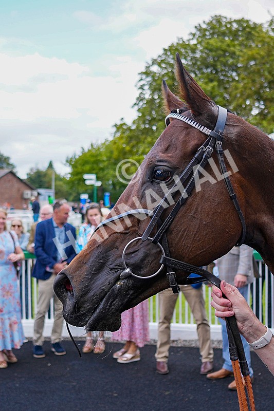 050926-Race 4-Oolong Poobong-33 - Race 4 3.15pm British Stallion Studs EBF Fillies' Handicap