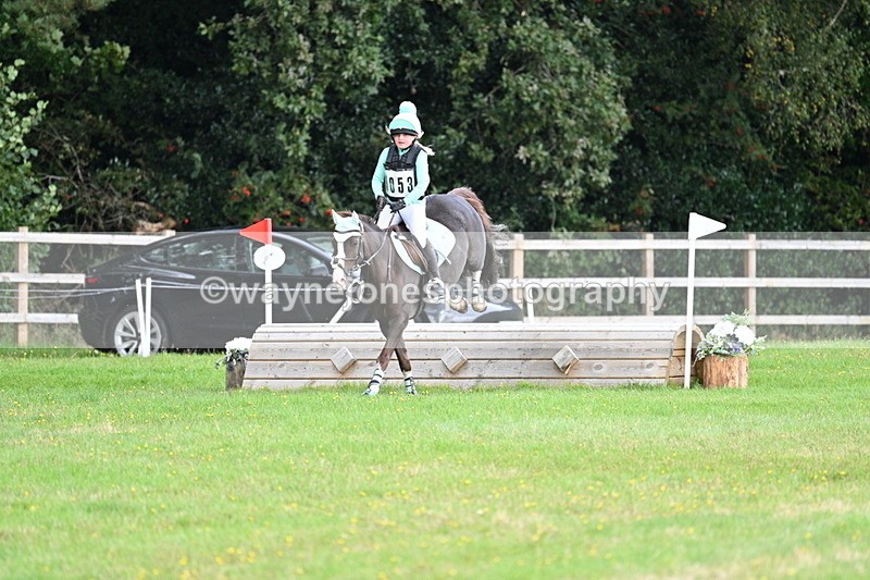 WJ7_8320 - 60cm Time 12:11 to 12:30