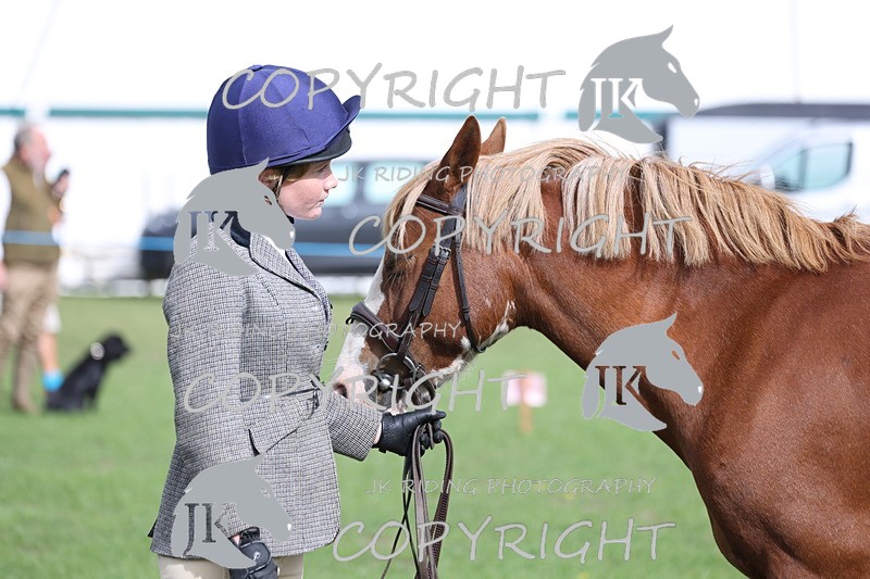 APP_2641 - Class 9 Veterans in hand