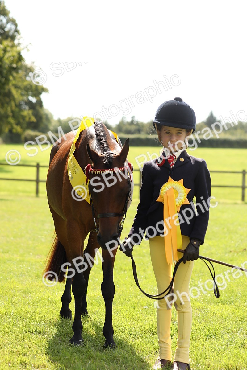 SBM_65614 - S48 - Show Pony & Show Hunter Pony In Hand