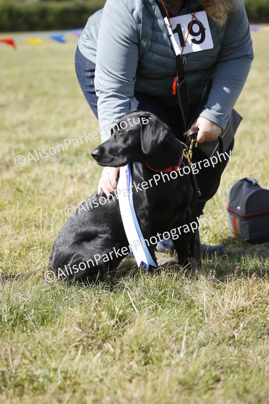 20250831-3723 - Dog Show