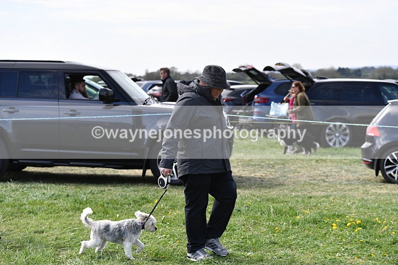 WJ5_0714 - Best in Show Championship