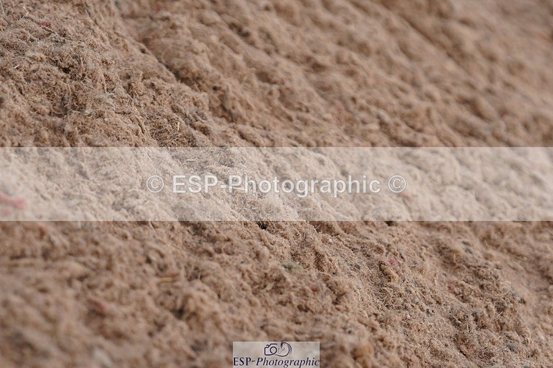 250621-092046-05501 - Quest Cls 1-5, Intro All