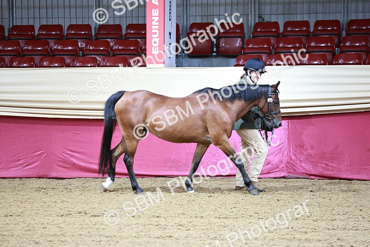 SBM_00139 - Class 1A - Area IH Diamond