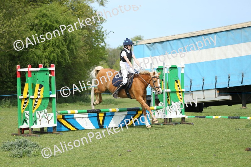 20260426-1612 - Class 14 - Novice 60cm