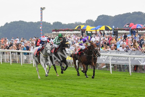 100923-Pony Race 2-Its Fatherted-0258 - Pony Race 2 12.45 The Dragon (TV and Film) Studios Pony Race 148cm & Under