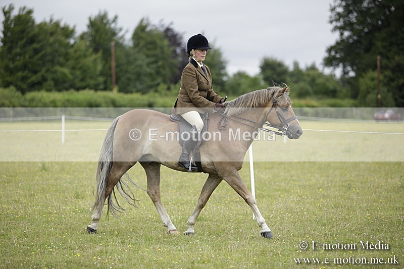 BVR160717-1291 - Ring 1 BVRC Show 16/07/17