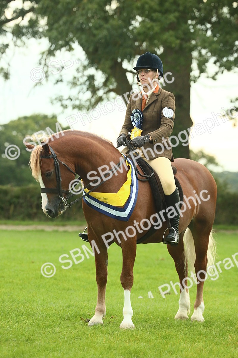 SBM_75274 - Super Supreme Championship