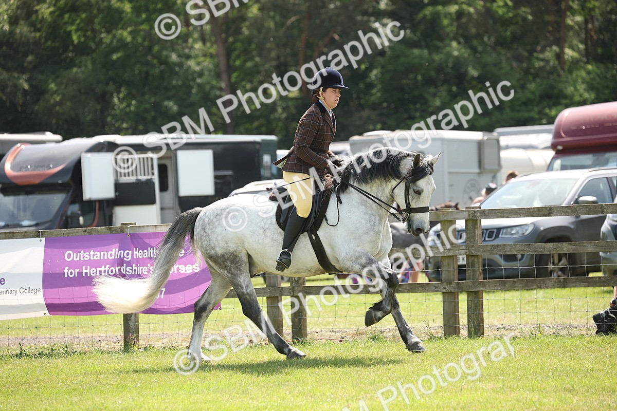 SBM_07600 - Class 26-30 - Mountain and Moorland Ridden