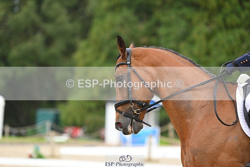 230813-132921-07582 - Cls 13 Medium Bronze 13.15 to End