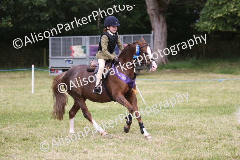 20260614-4161 - Class 24 - Mini and Major Pairs Jumping