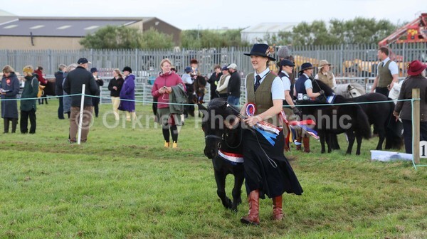 untitled-7183 - Shetland Pony Show