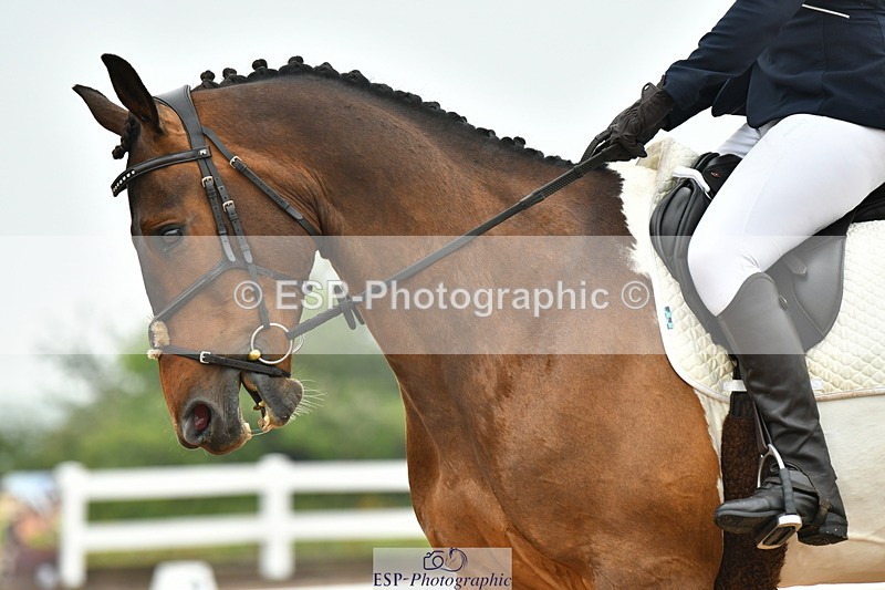 230708A-143430-03478 - Prelim 14