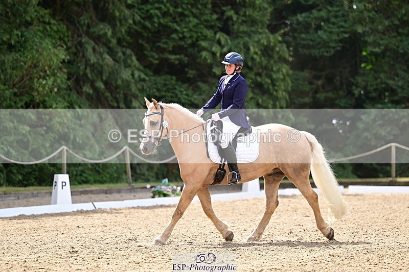 260802A-111146-05727 - Novice Silver break - break