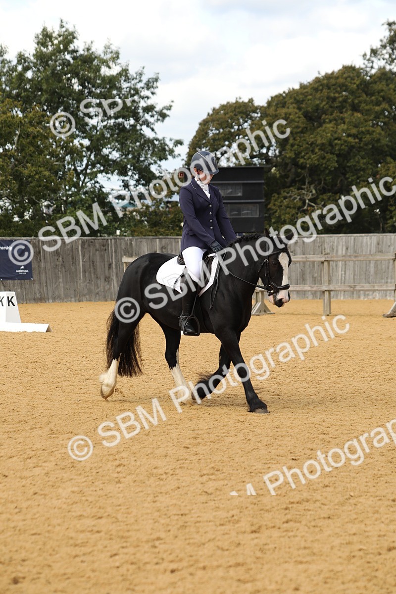 SBM_41816 - D21 - Junior Championship - Intro A