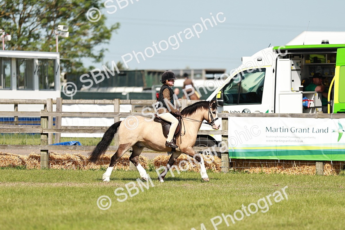 SBM_12700 - Class 106-107 - BSPS LIHS Working Sports Pony