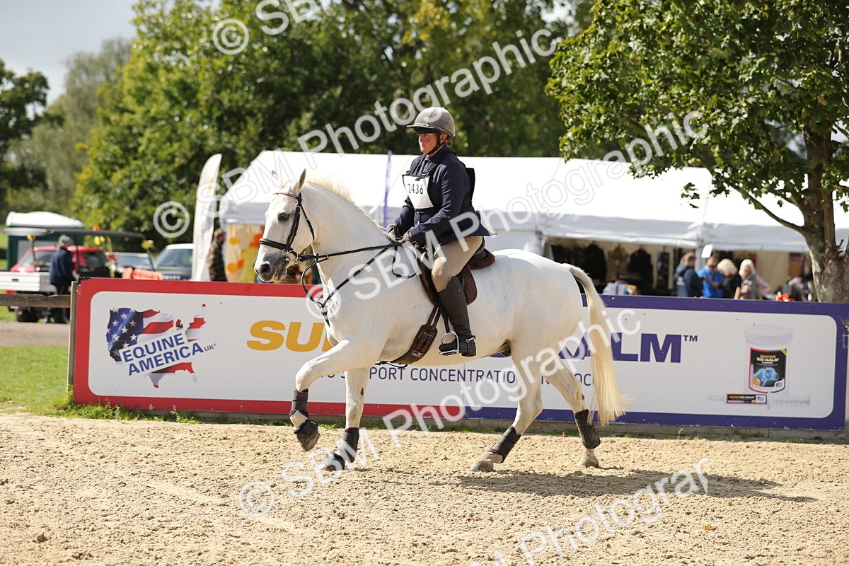 SBM_05866 - J35 - Veteran Rider 60cm