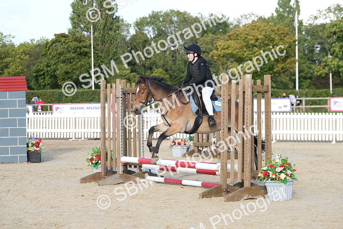 SBM_29105 - J43 - Horse & Hound Open 50cm