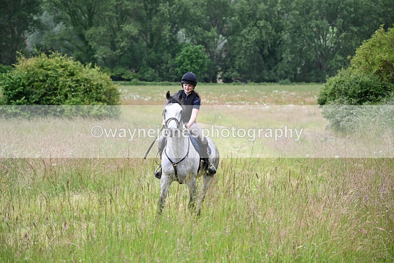 WJ6_7994 - Camera 1 Gallops