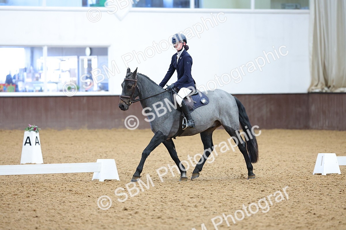 SBM_002583 - Novice