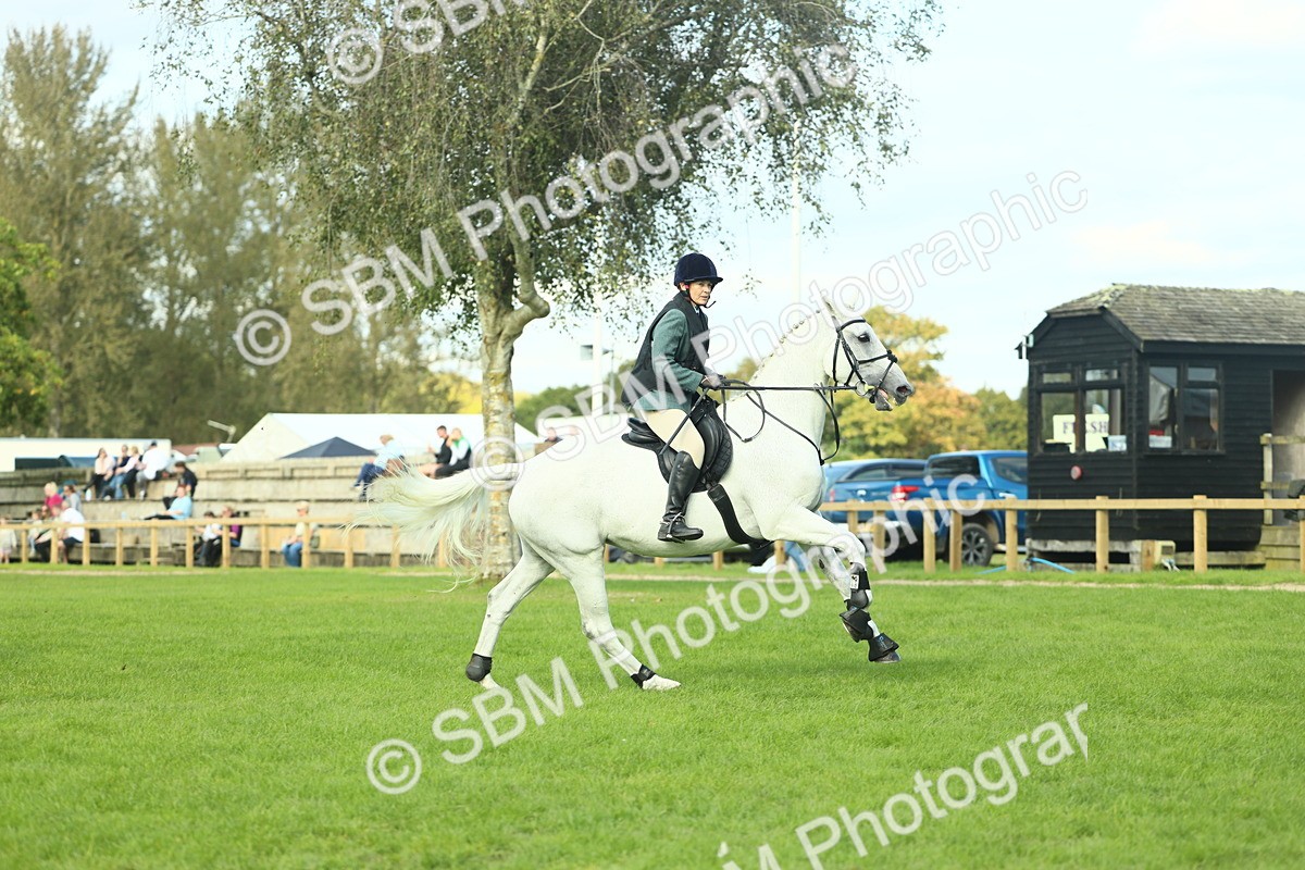 SBM_50586 - S33 - Working Hunter & Working Show Horse