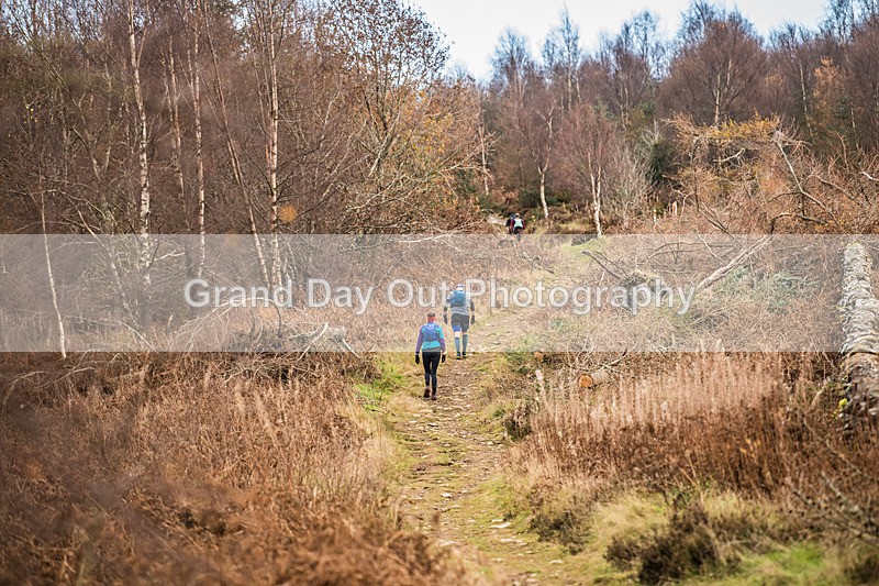 Tweed Valley-895 - High Terrain Events Tweed Valley 50 & 65K Ultra Trail Races Sunday 16th November 2025