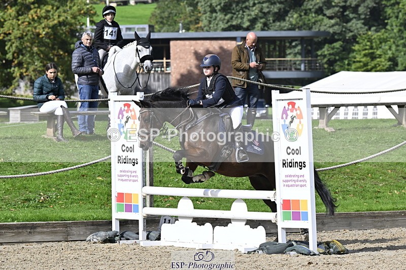 251005A-123936-03868 - Cls 08 Mini 70-75cm