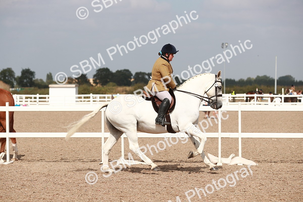 SBM_14822 - Class 212 Ridden Hunter - Small
