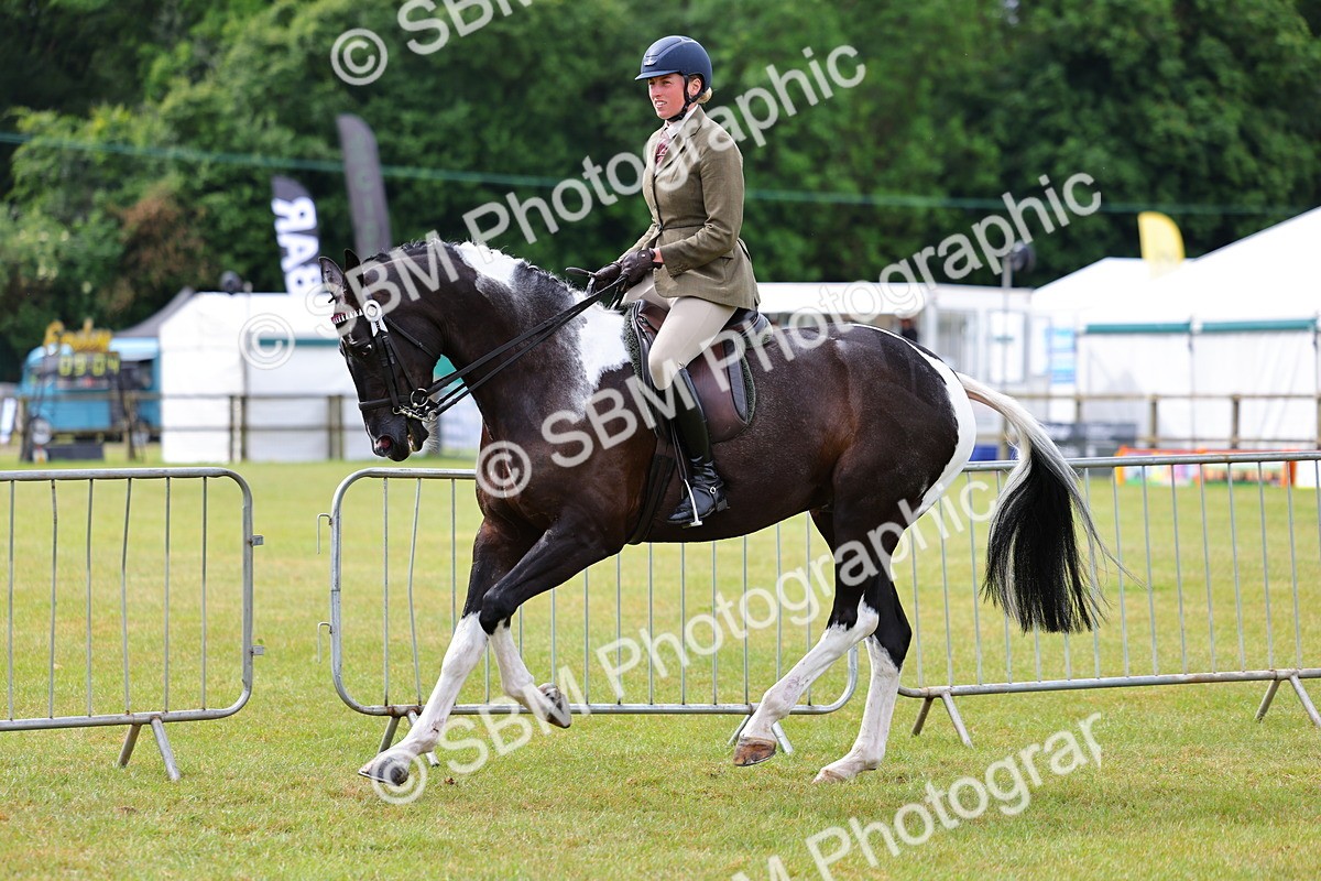 SBM_02517 - Class 9-11 Side Saddle including LIHS Rising Star Ladies Show Horse