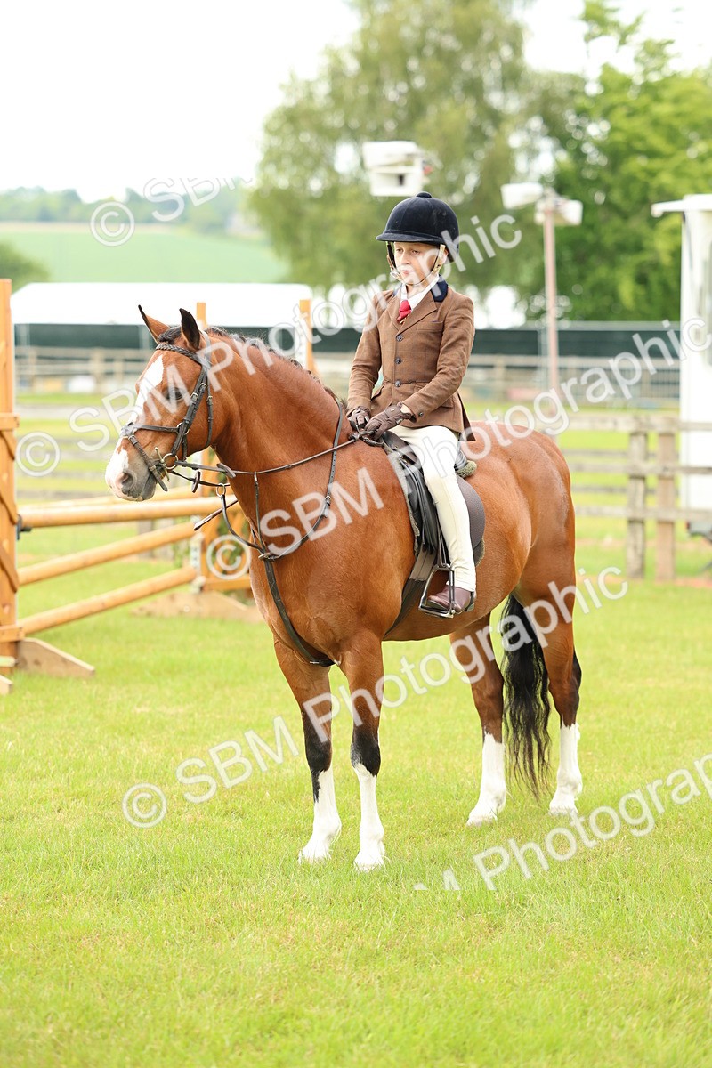 SBM_10384 - Class 44-45 - LIHS BSPS Open Nursery and Cradle Stakes