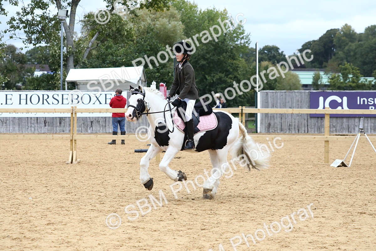 SBM_68306 - J3b - Mini Tour Junior Pony 40cm Championship