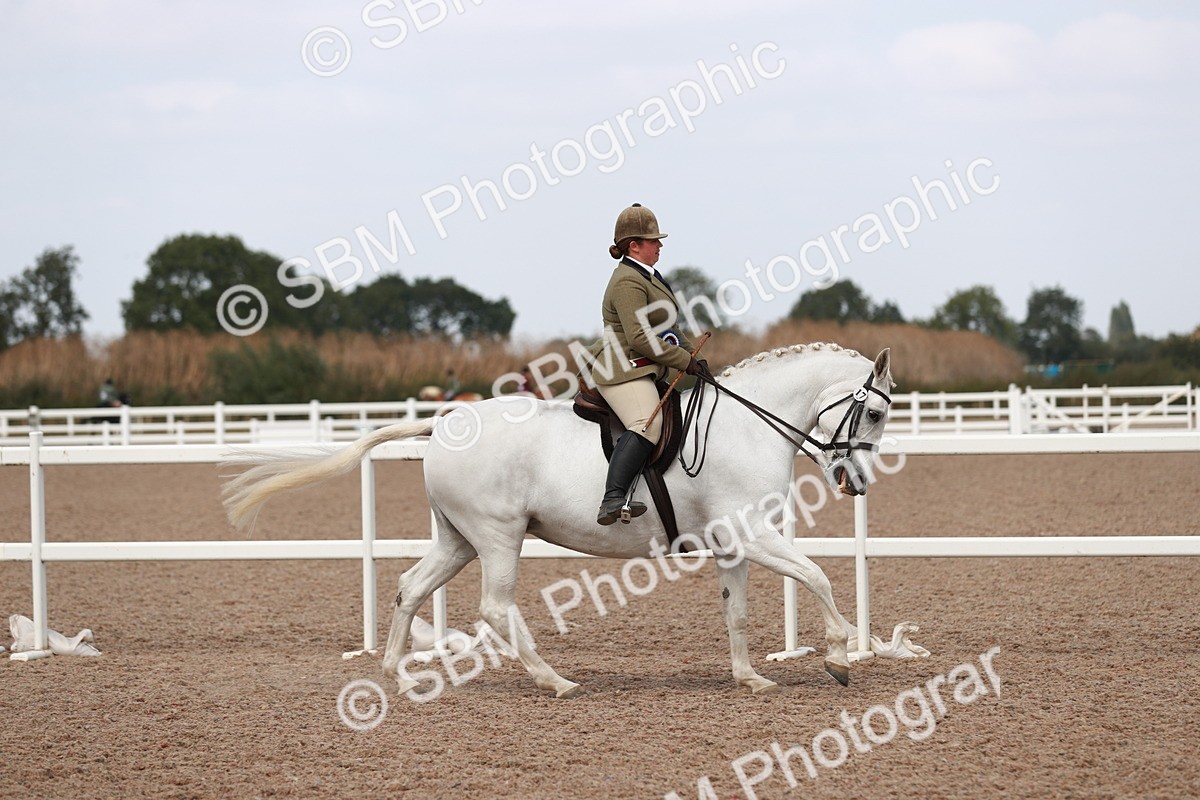 SBM_14936 - Class 212 Ridden Hunter - Small