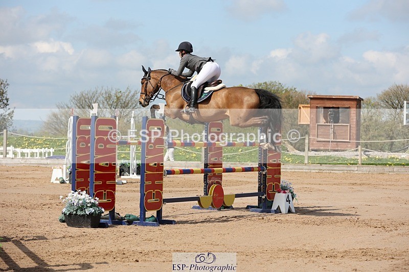 250427-110020-15747 - Cls 36 Young Horse 7yr old