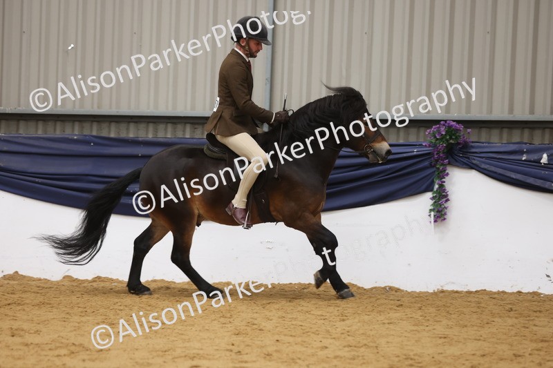 20260913-0623 - Class 126 - Novice Ridden
