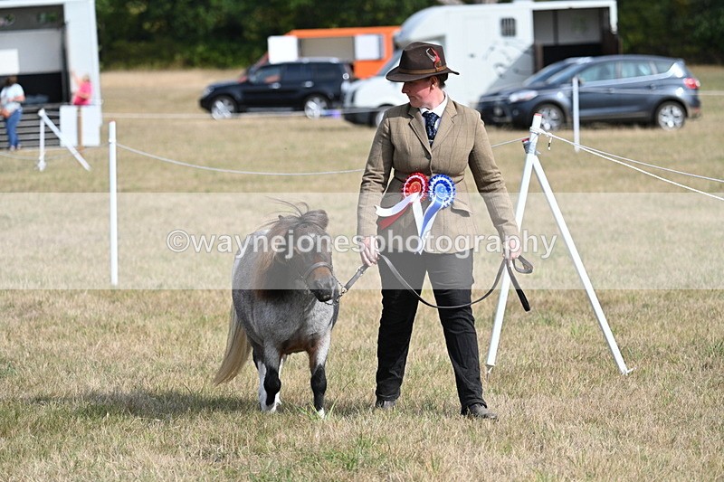 WJ7_8037 - In-hand Championship