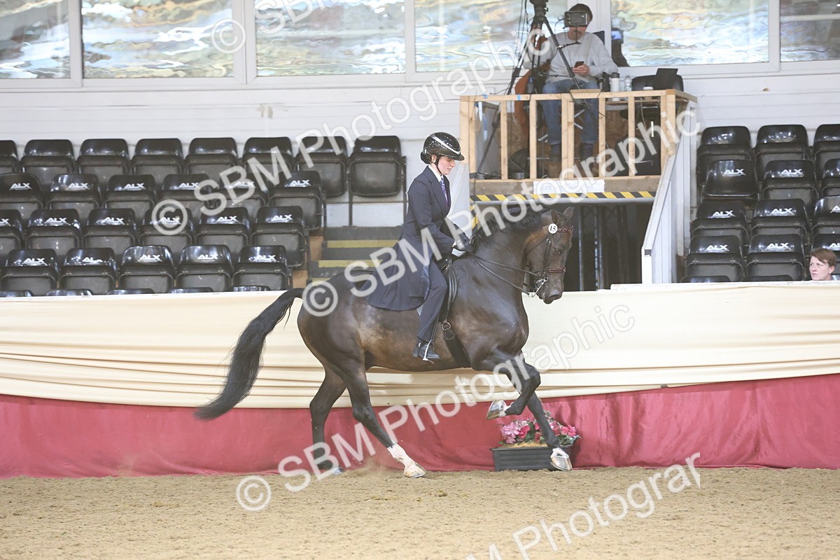 SBM_23768 - class 906 - Supreme Final - Ridden Pre Vet