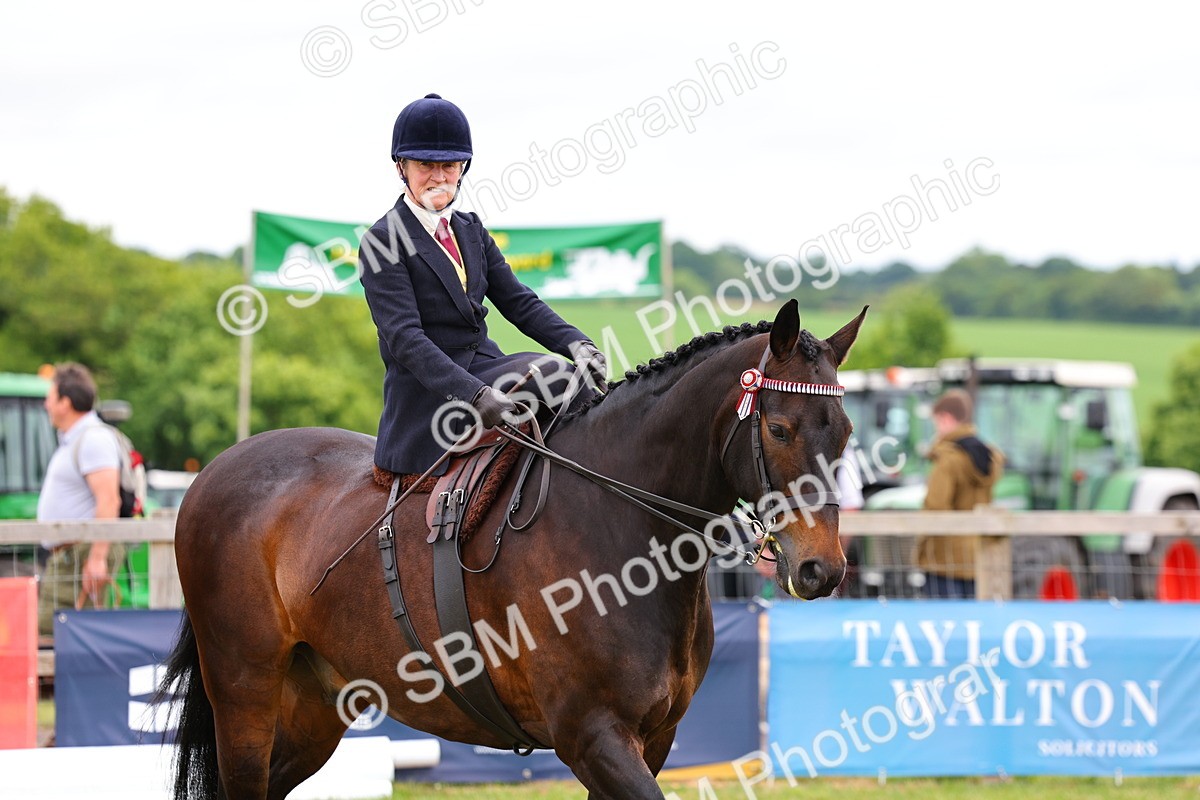 SBM_02803 - Class 9-11 Side Saddle including LIHS Rising Star Ladies Show Horse