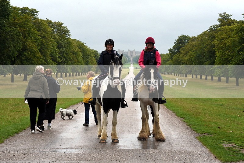 TT3_8206 - Time at Crossing 09:15 to 10:15