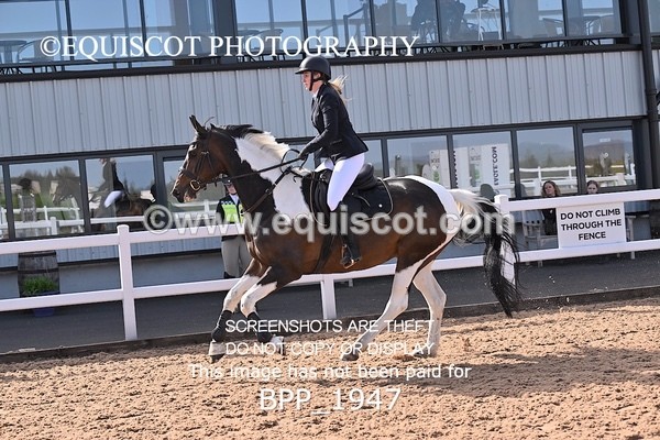 BPP_1947 - CLASS 3 - FRI - Senior British Novice/90cms Open