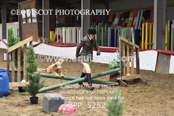 BPP_5252 - CLASS 5 HORSE AND HOUND
