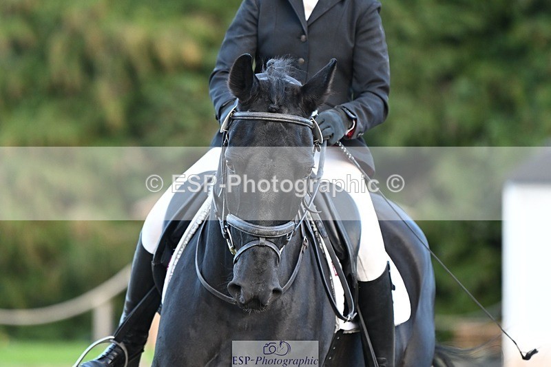 231110-134535-01044 - Cls 4 Novice 39Q