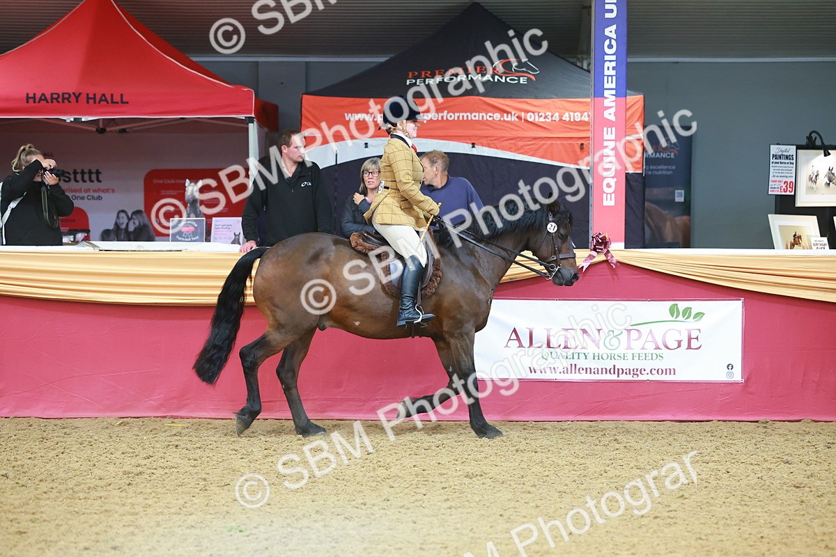 SBM_09607 - Class 102 - HOYS Veteran Qualifier - Ridden Veteran