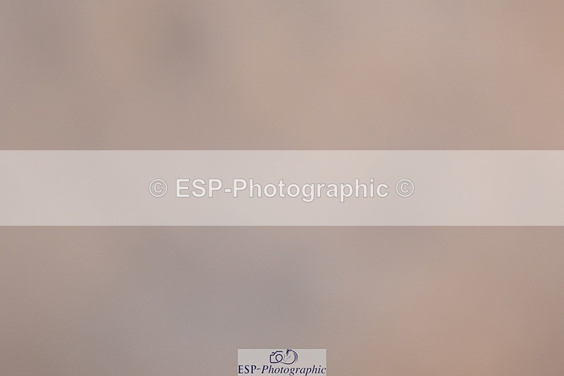 250125-103257-00202 - Dressage - CT Class 4 BE95 (80cm)