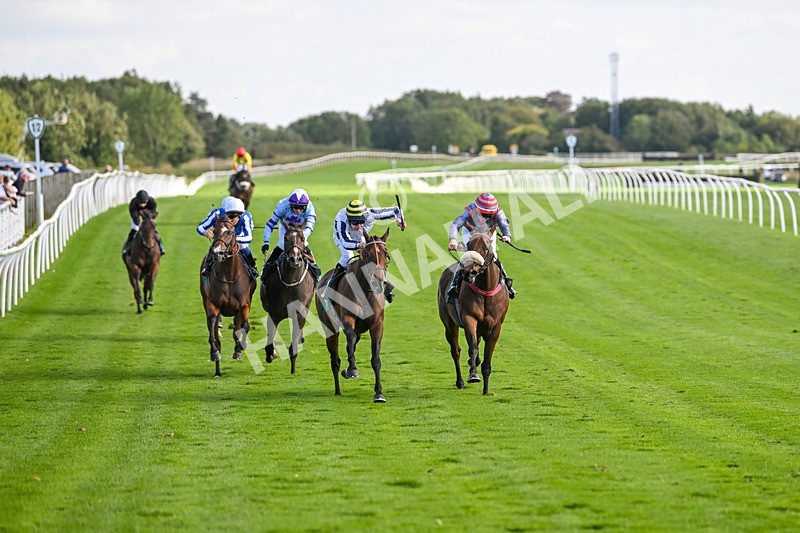 100924-Race 4-Scarboroughwarning-0321 - Race 4