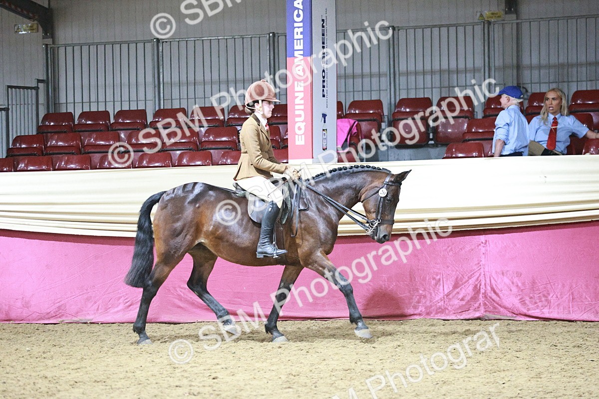 SBM_08045 - Class 11R - Regional Ridden Veteran